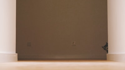 تعلم مهارات كرة القدمدليل شامل للمبتدئين والمحترفين تعلم مهارات كرة القدمدليل شامل للمبتدئين والمحترفين